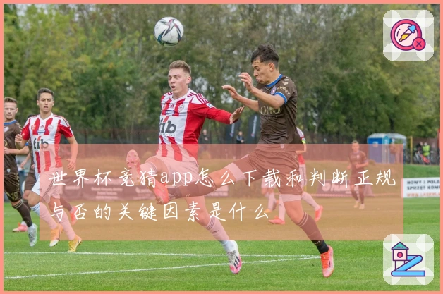 世界杯竞猜app怎么下载和判断正规与否的关键因素是什么