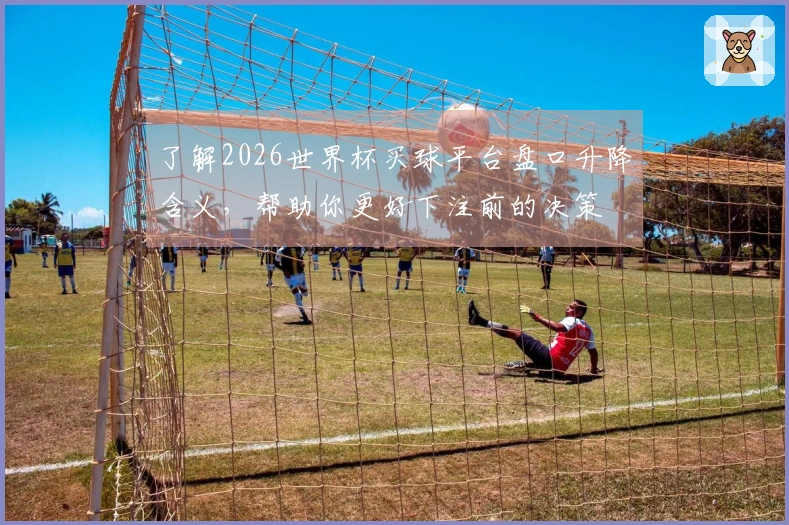 了解2026世界杯买球平台盘口升降含义，帮助你更好下注前的决策
